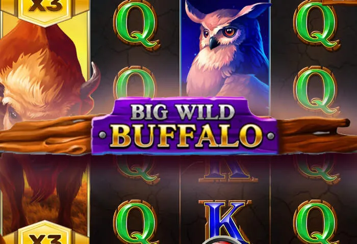 Play RoyalCasino's best casino games on the go with the app