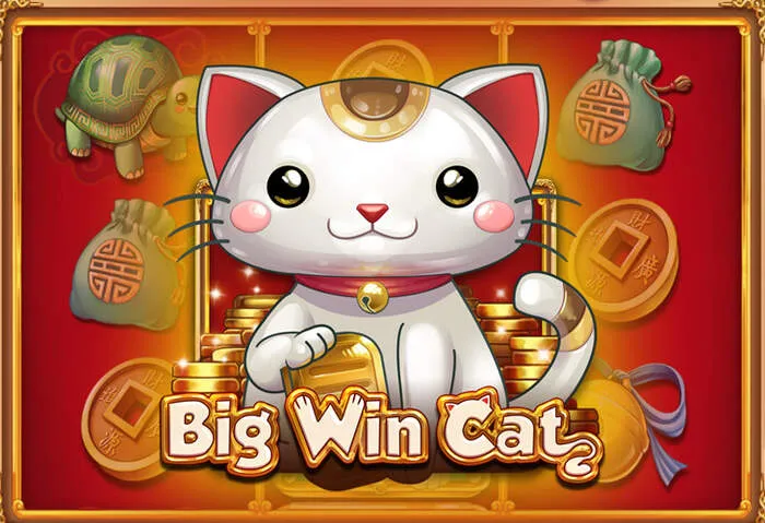 Explore top slots and table games at Spinzwincasinodownload Store
